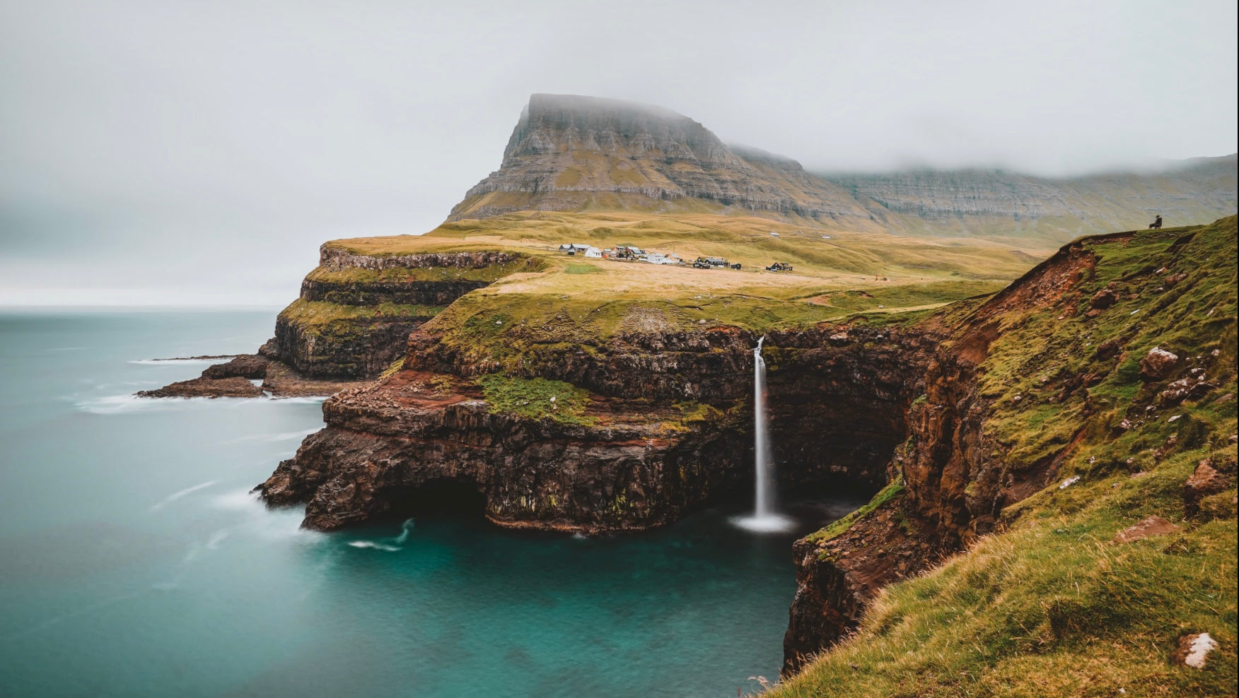 Entrepreneurship Membership Packages